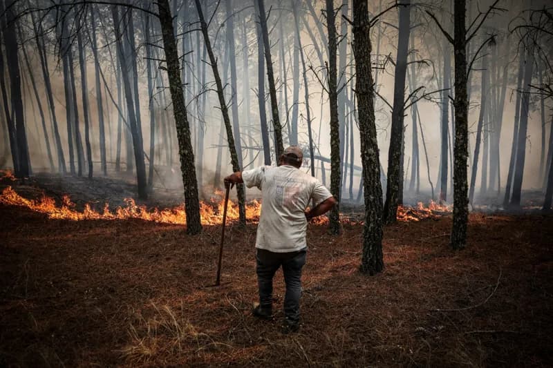 ООН обозначила узкий путь к возвращению к потеплению в пределах 1,5 °C после неизбежного превышения этого порога