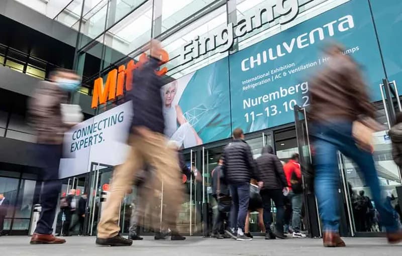 Chillvena набирает обороты и может стать крупнейшей за всю историю
